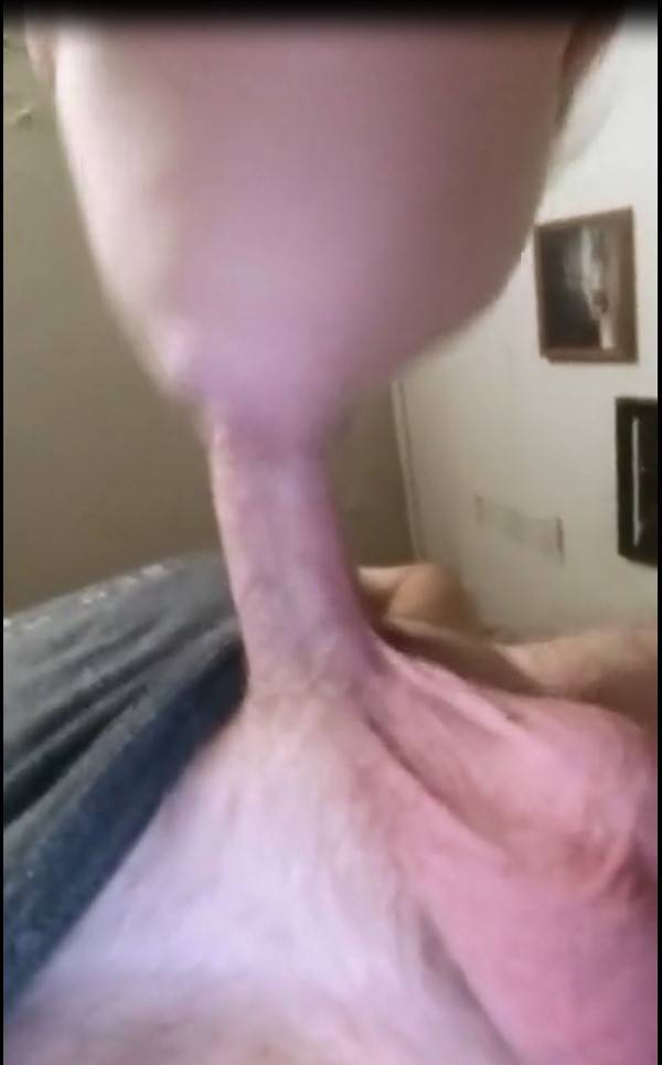 27427424